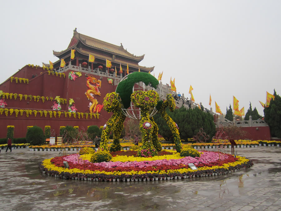 开封市五色草造型
