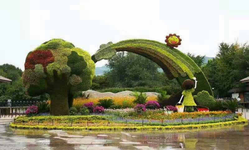 福建五色草造型