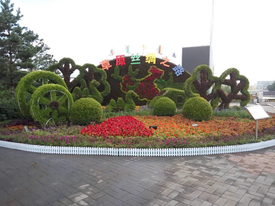内蒙五色草造型