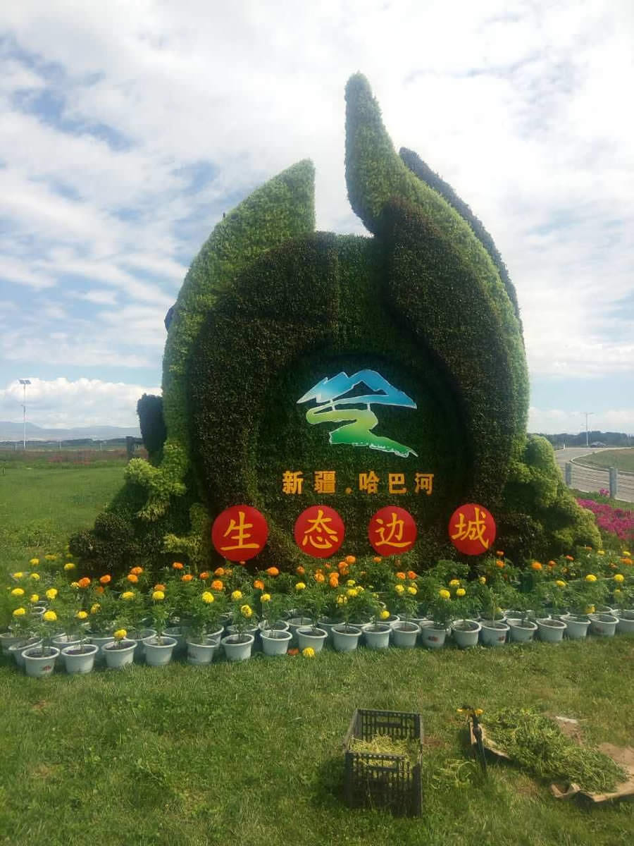 新疆哈巴河五色草造型